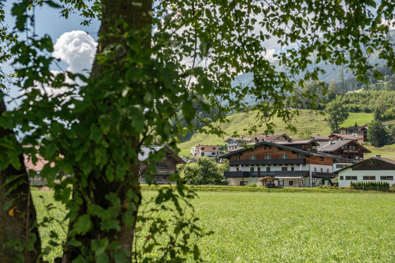 Apartment Gaestehaus Dreier *
